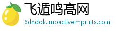 飞遁鸣高网